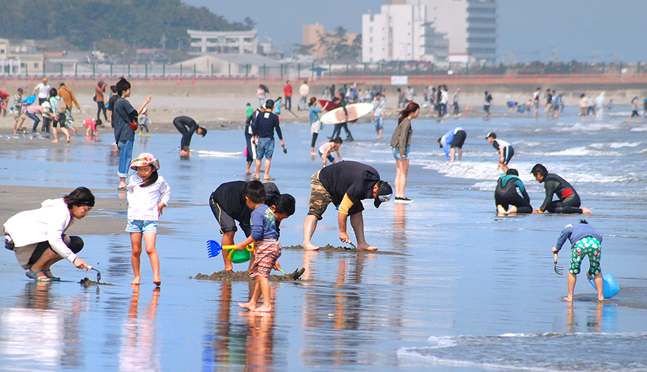 Special Feature Enjoy Oarai town in every season.