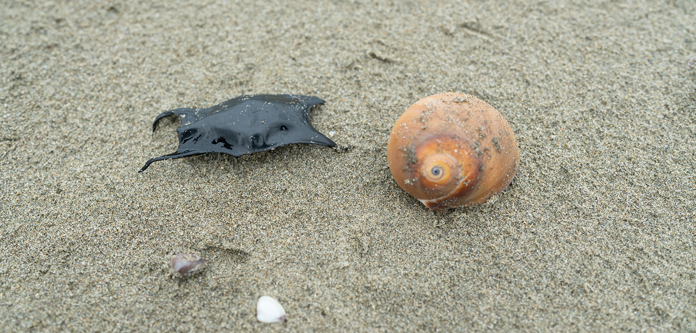 Oarai Sun Beach and Onuki area