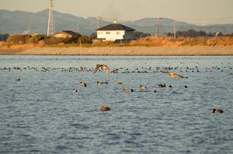 Lake Hinuma shore and Minami Oarai area