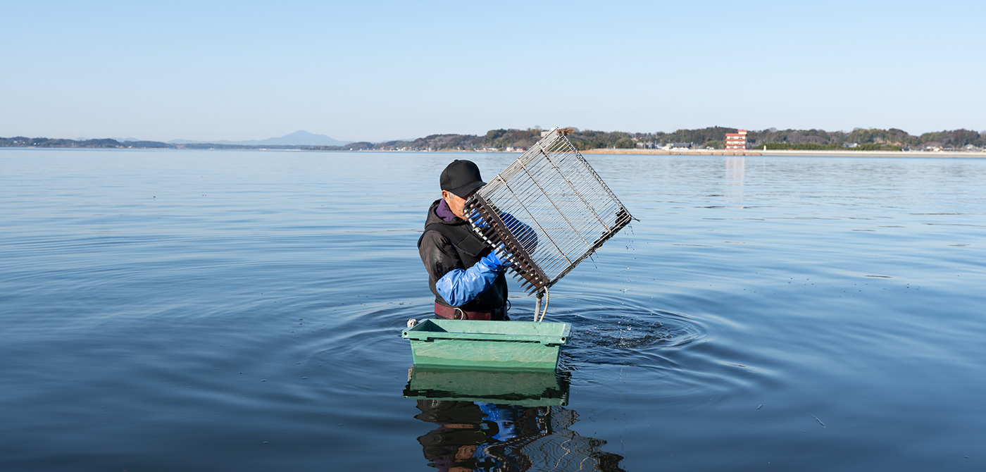 Lake Hinuma shore and Minami Oarai area