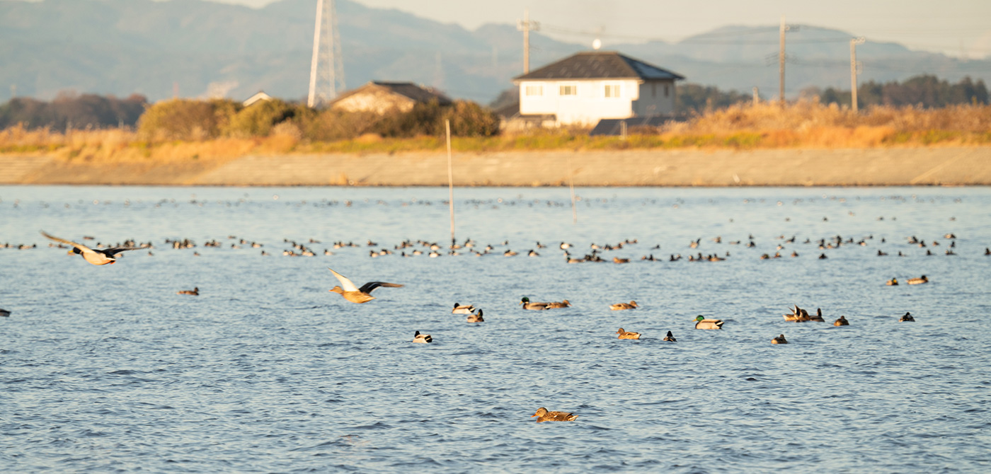 Lake Hinuma shore and Minami Oarai area