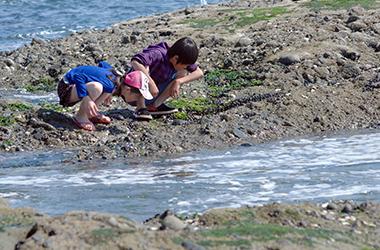 Rocky Beach Fun