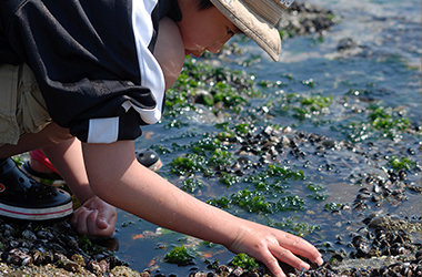 Rocky Beach Fun