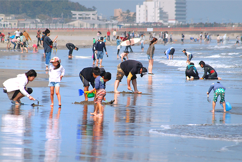 Special Feature “Shellfish gathering”