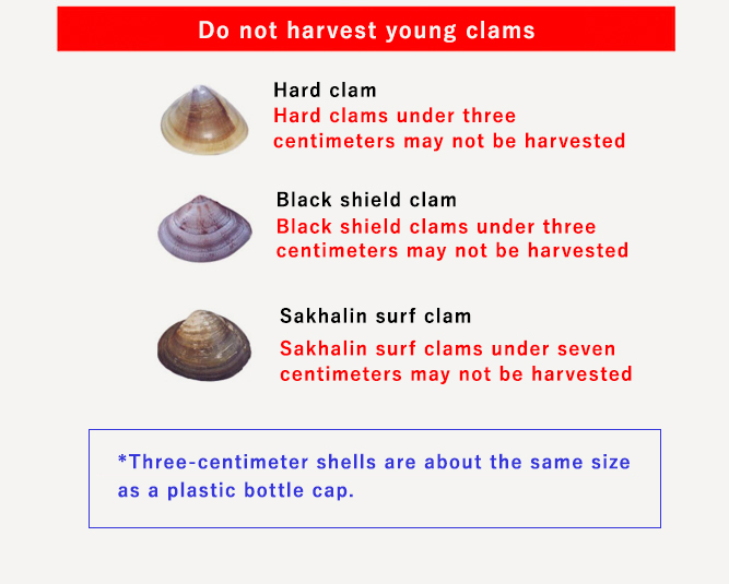 Shellfish size allowed to be harvested