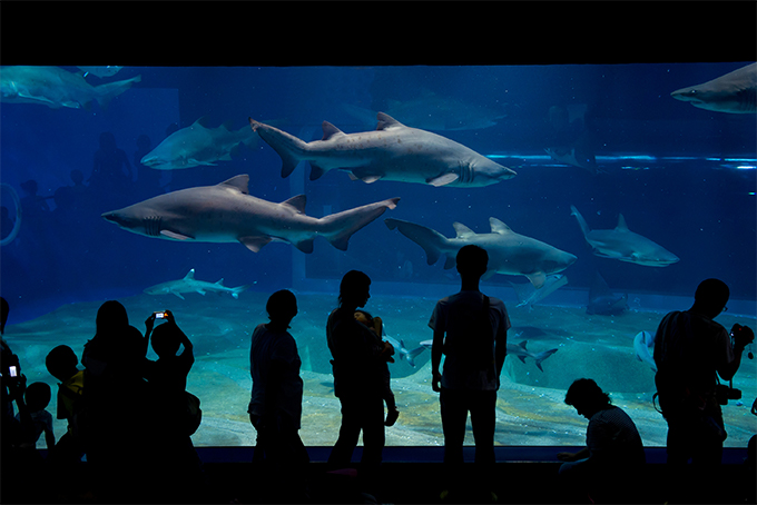 アクアワールド大洗水族館