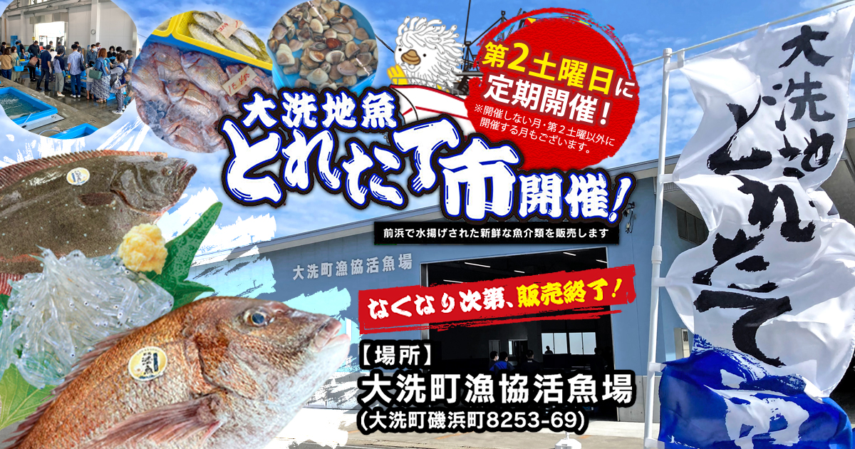大洗地魚とれたて市-アイキャッチ・OGP画像