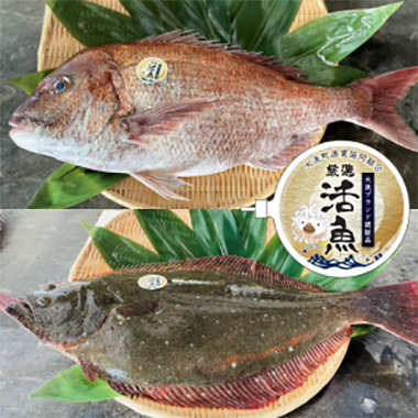 厳選活魚